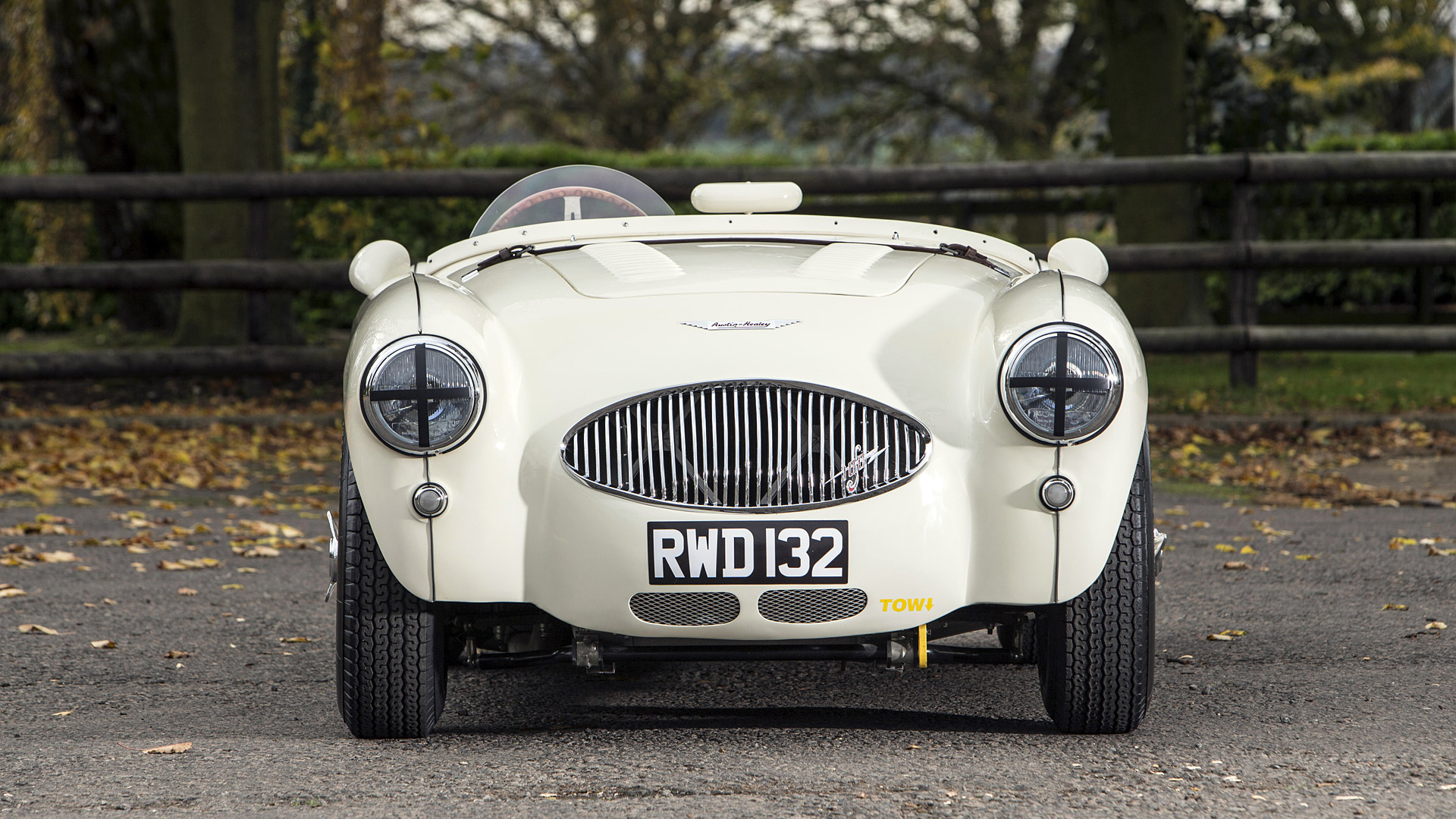  1955 Austin-Healey 100S Wallpaper.