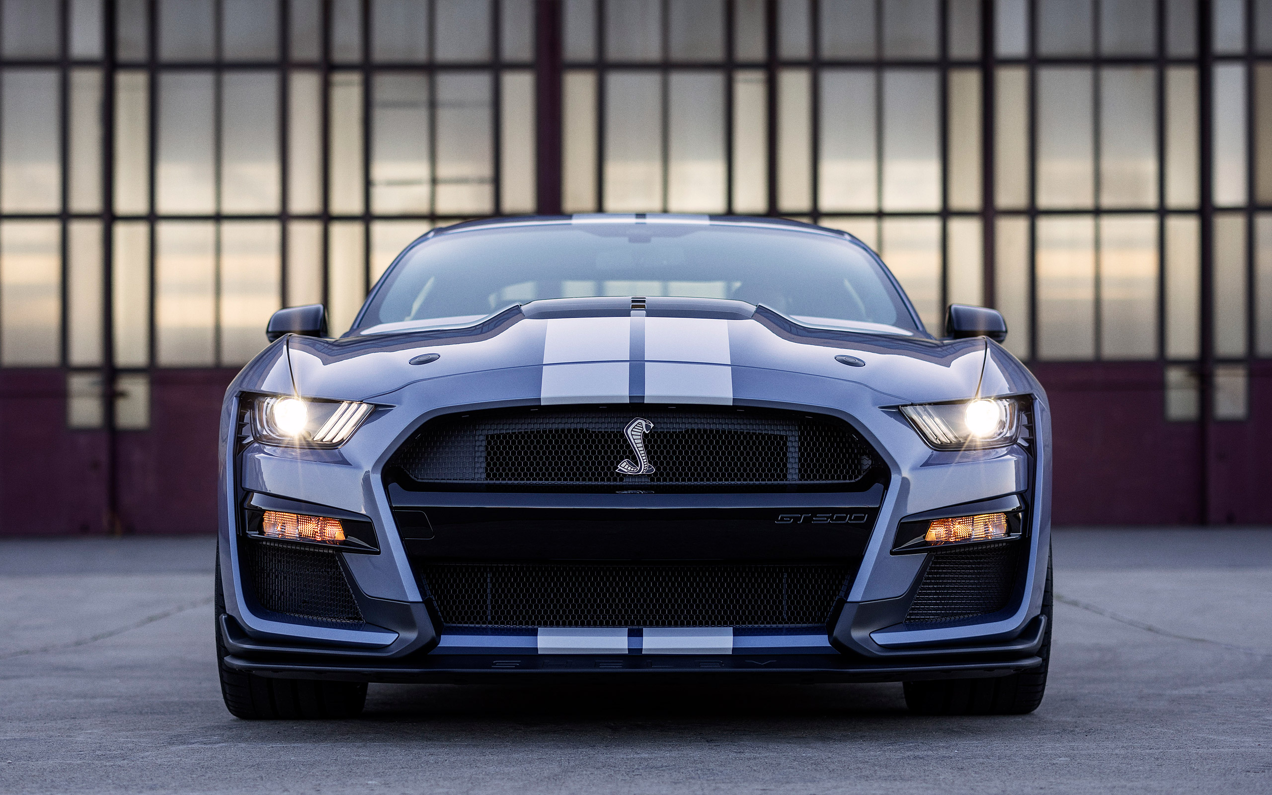  2022 Ford Mustang Shelby GT500 Wallpaper.