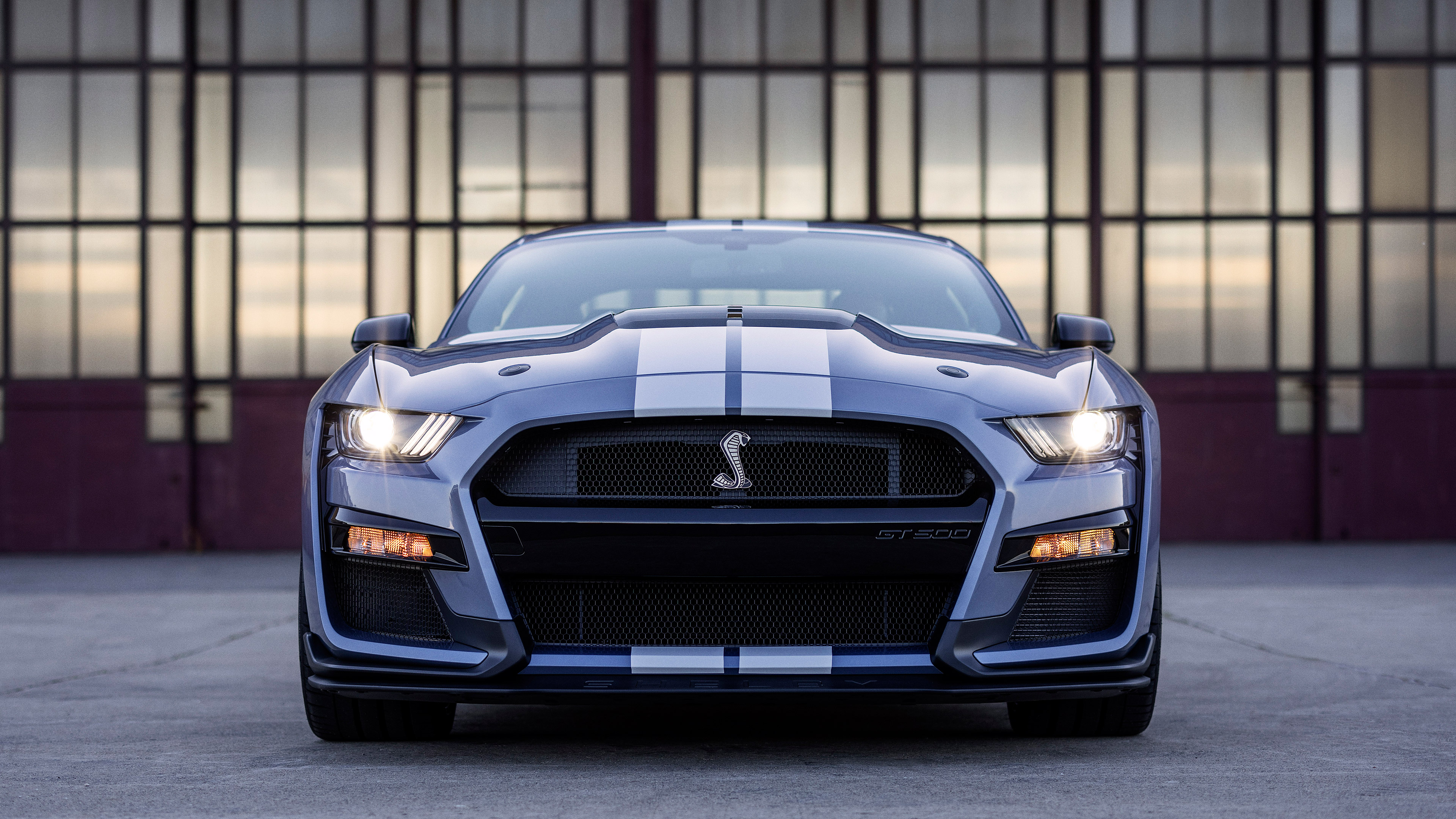  2022 Ford Mustang Shelby GT500 Wallpaper.