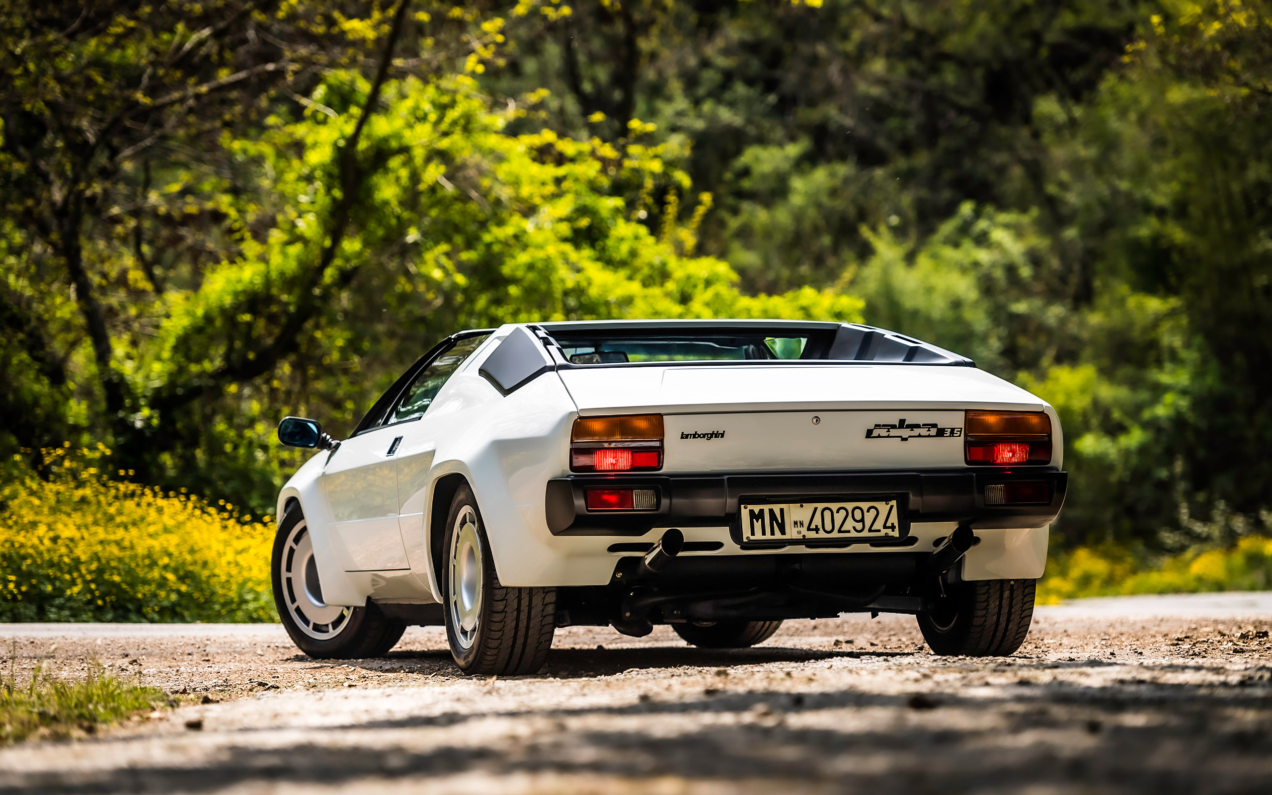  1981 Lamborghini Jalpa Wallpaper.