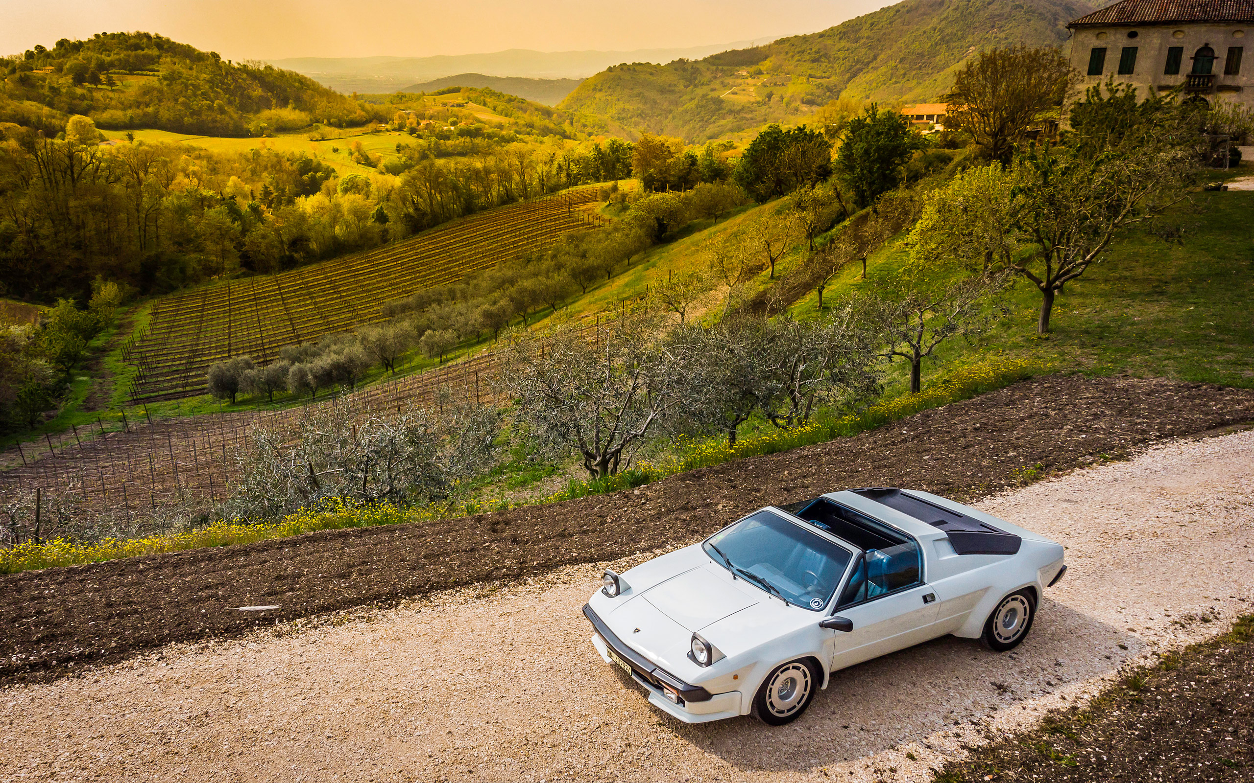  1981 Lamborghini Jalpa Wallpaper.