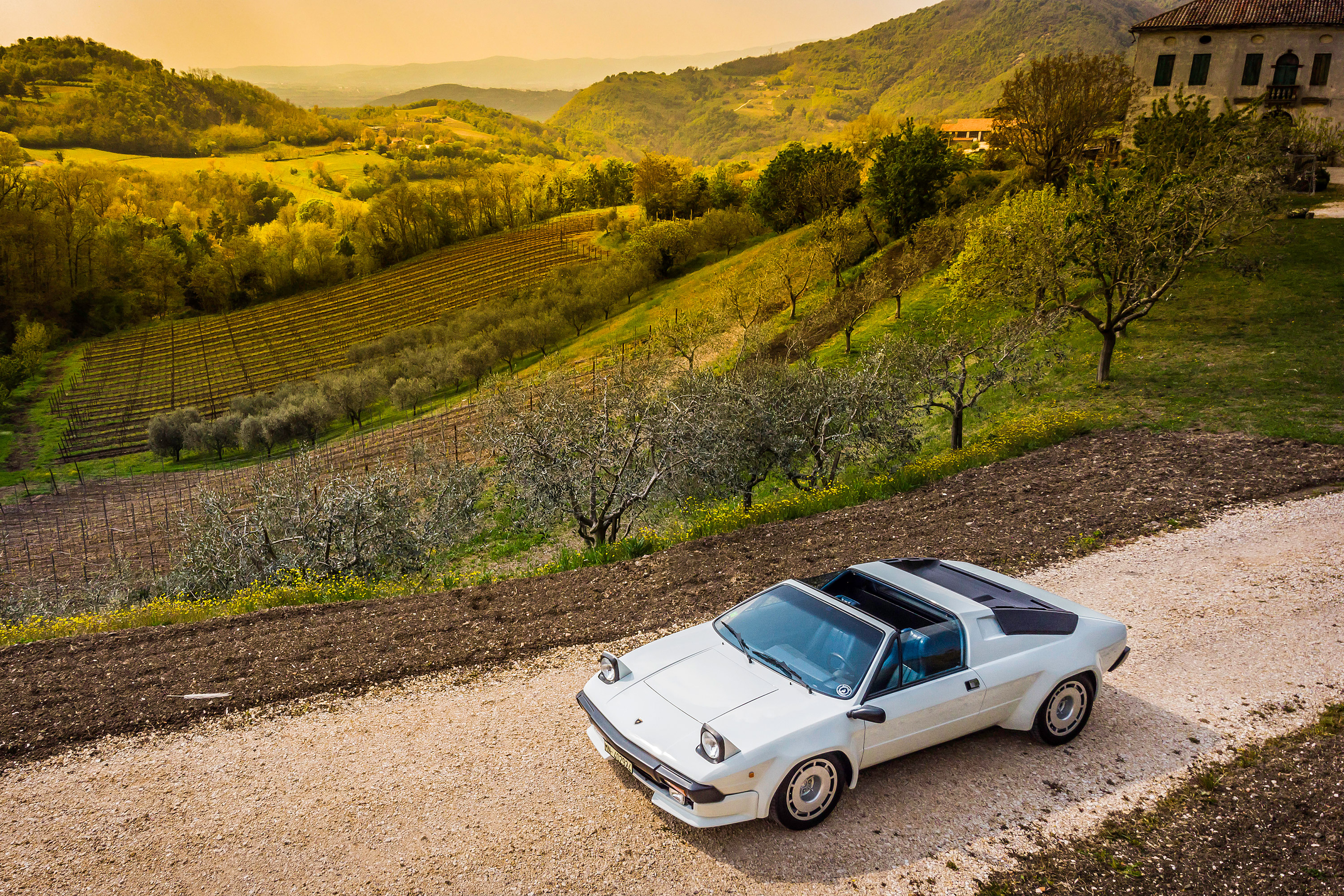  1981 Lamborghini Jalpa Wallpaper.