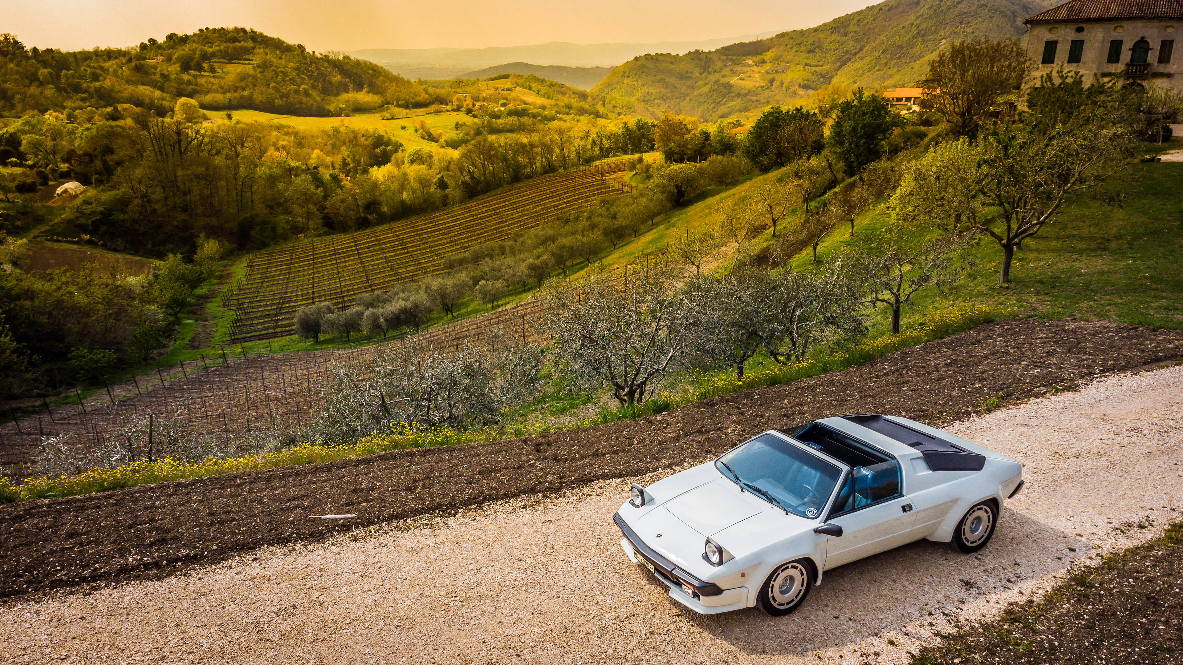  1981 Lamborghini Jalpa Wallpaper.