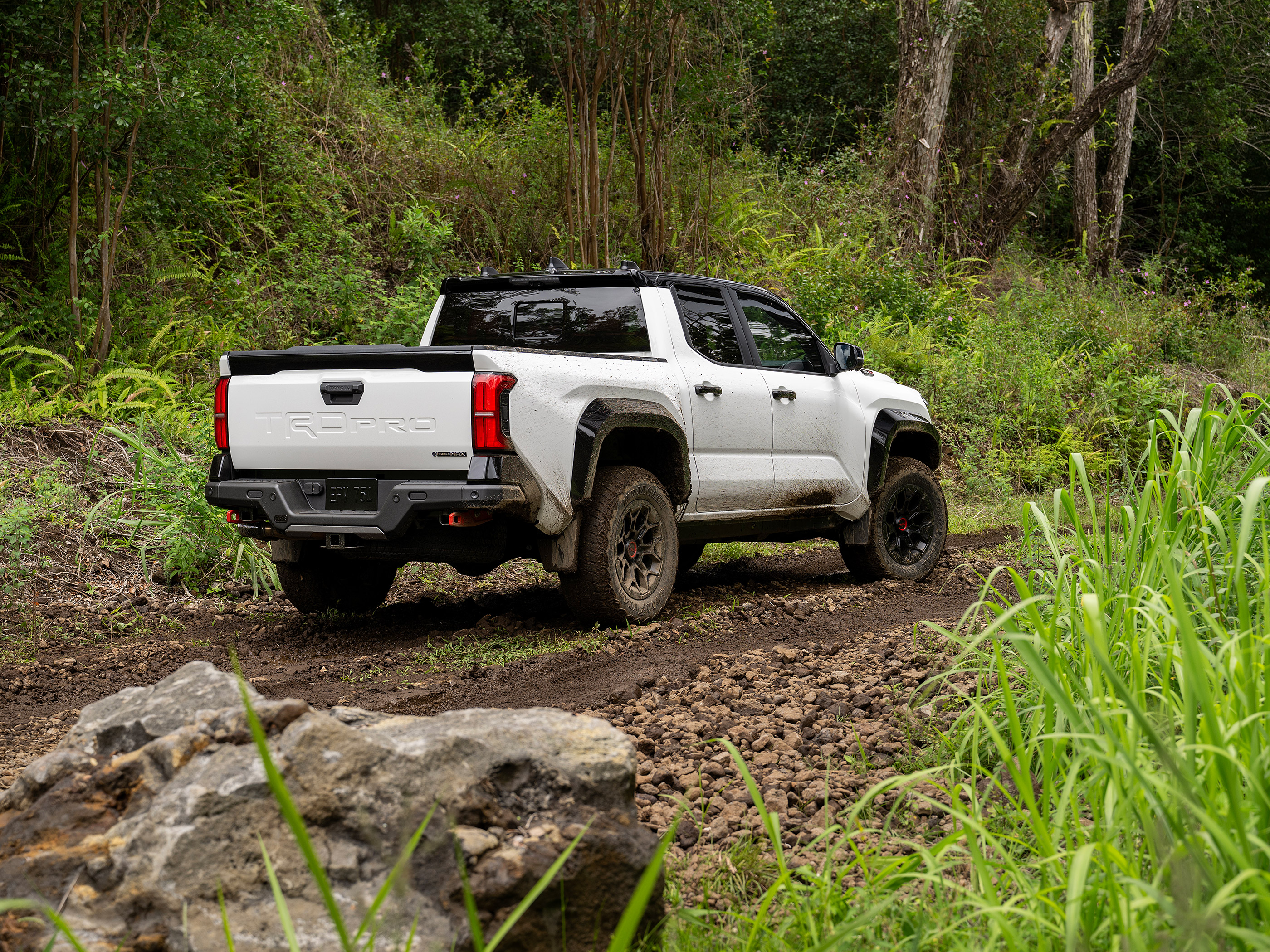  2024 Toyota Tacoma TRD Pro Wallpaper.